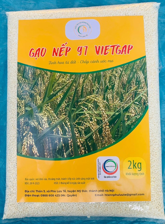 Gạo Nếp 97