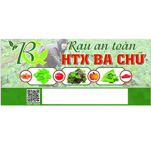 Rau an toàn