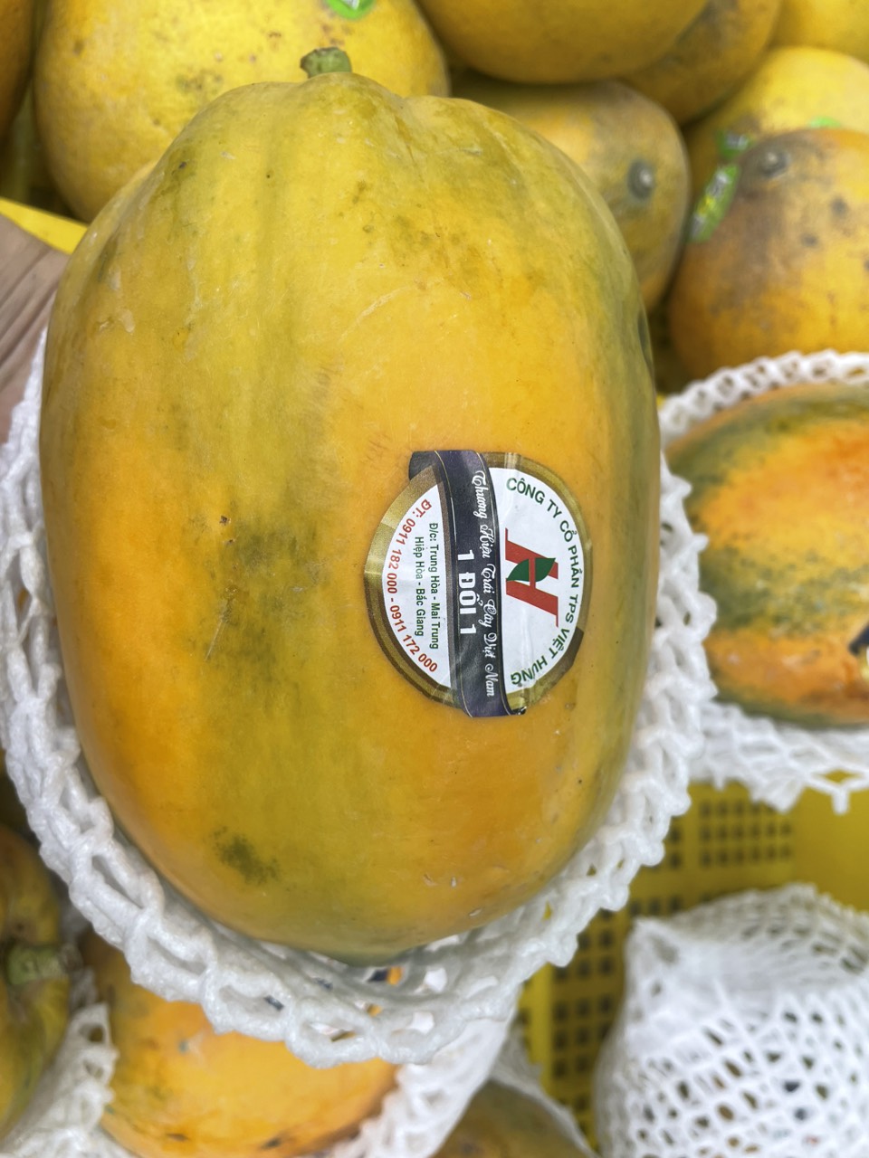 Đu đủ