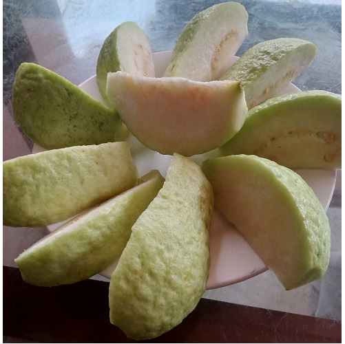 Quả ổi