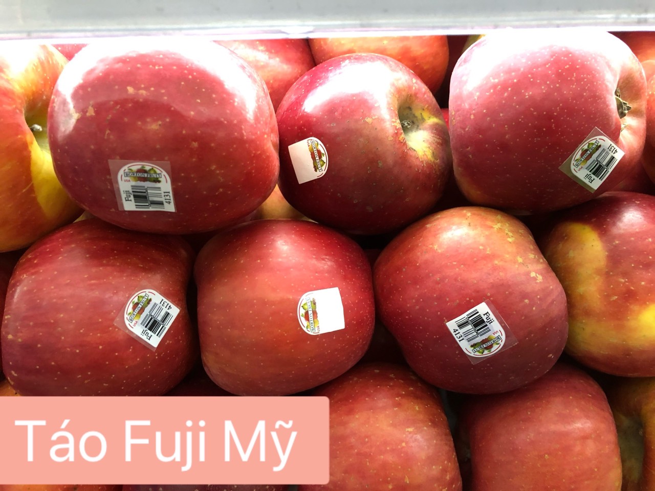 Táo Fuji Mỹ