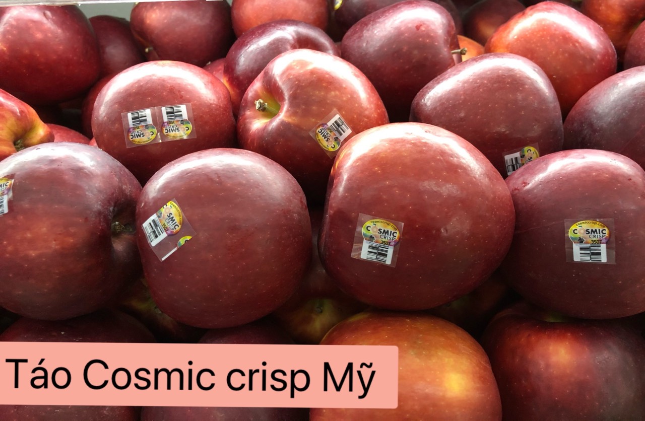 Táo Cosmic crisp Mỹ