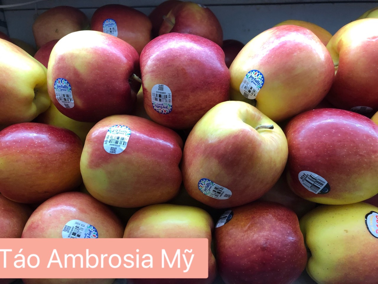 Táo Ambrosia Mỹ