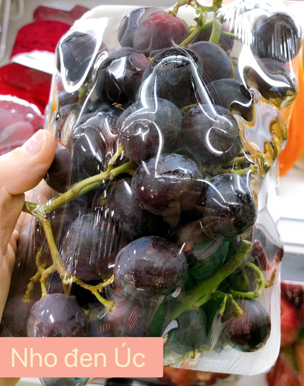 Nho đen Úc