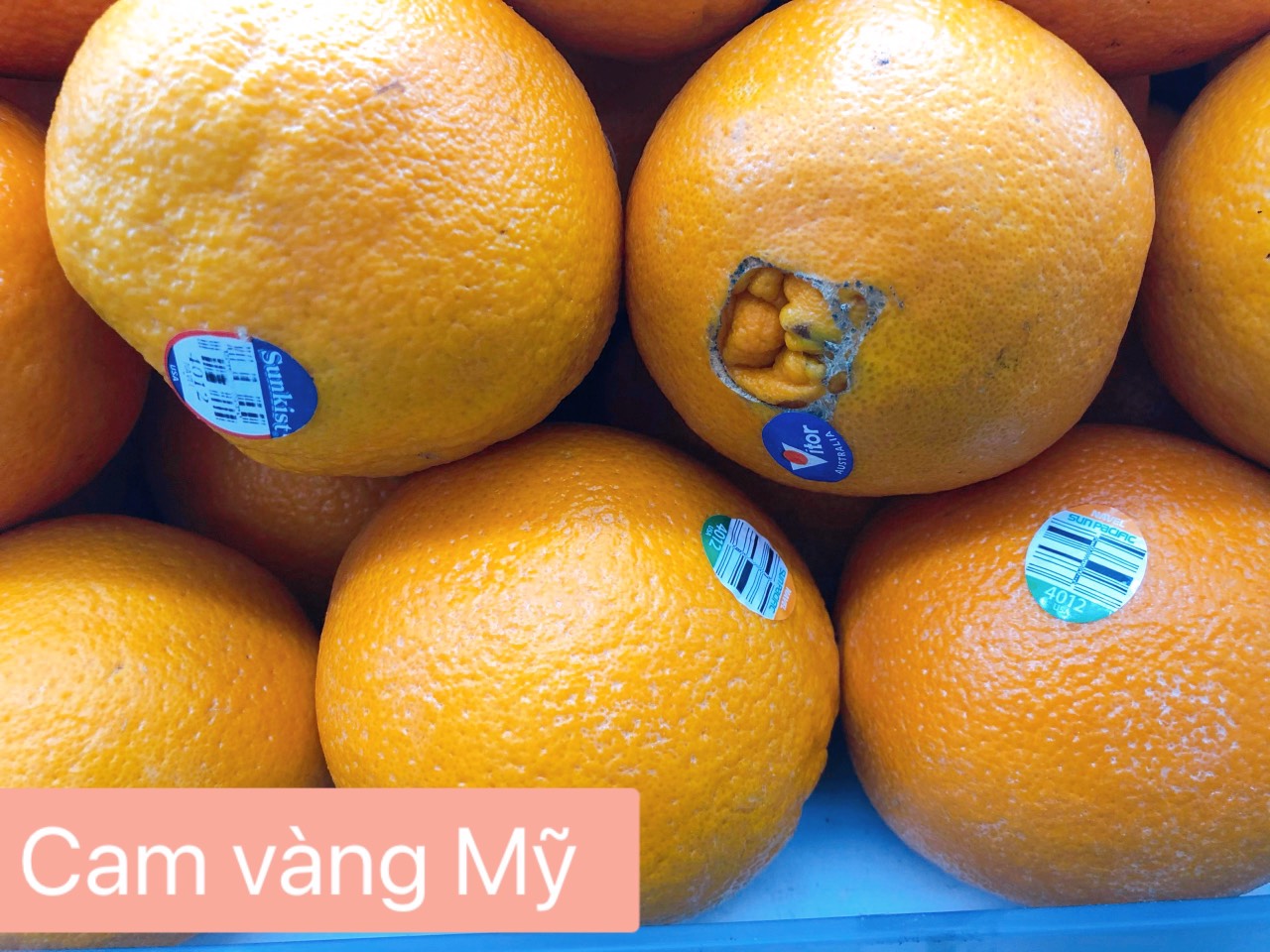 Cam vàng Mỹ