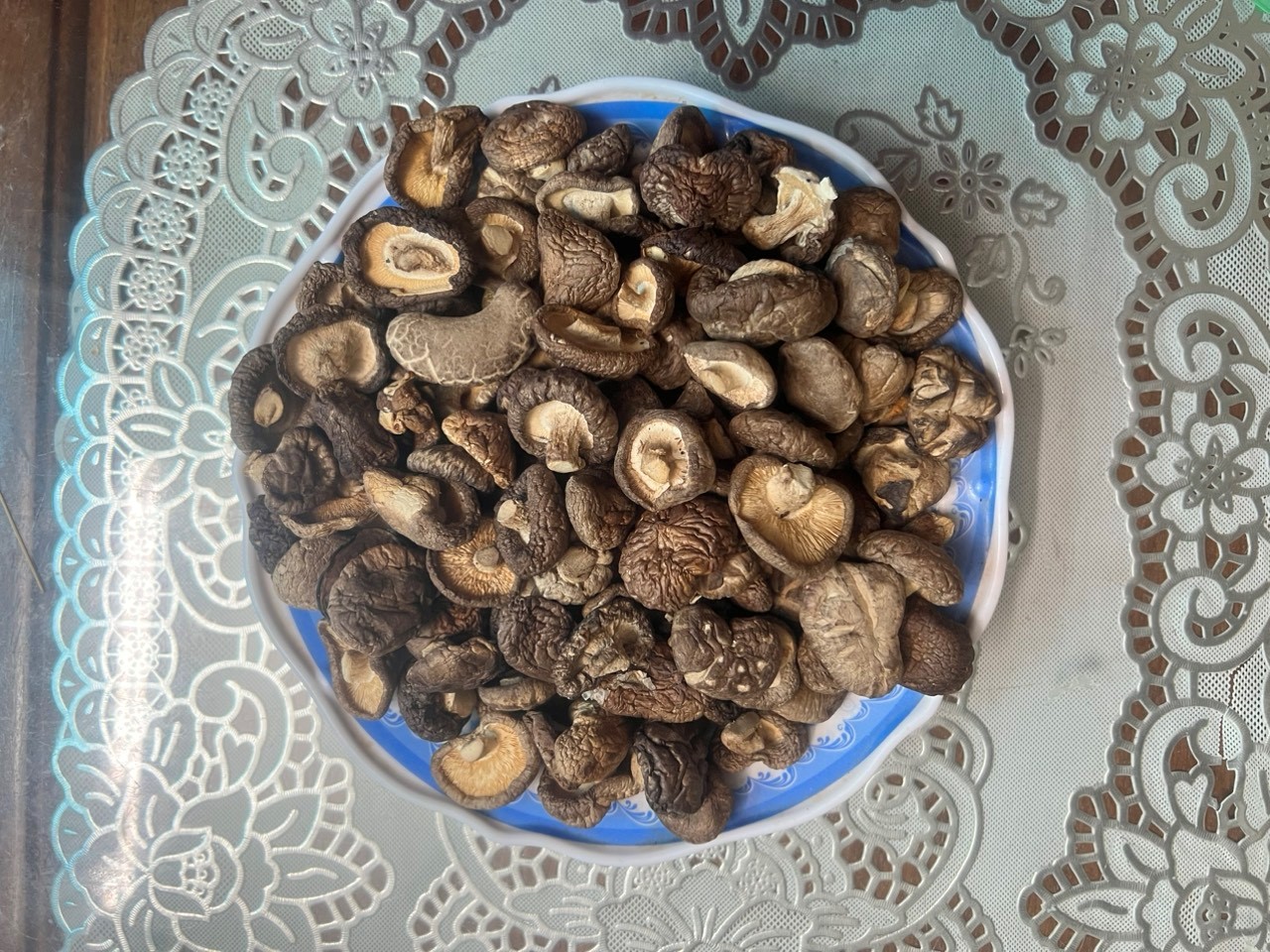 Nấm hương (TPHN32)