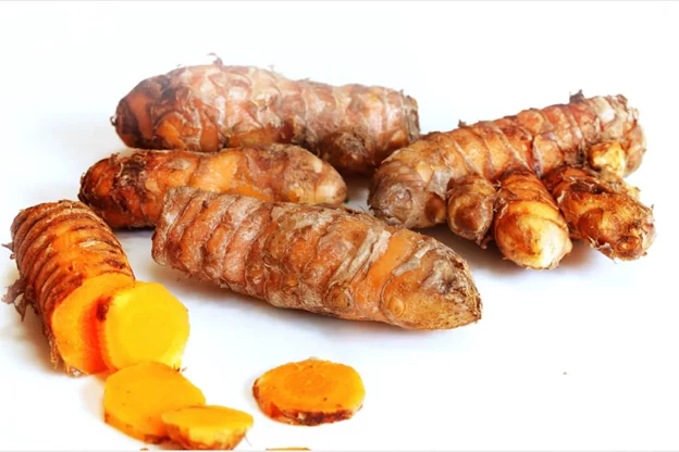 Nghệ