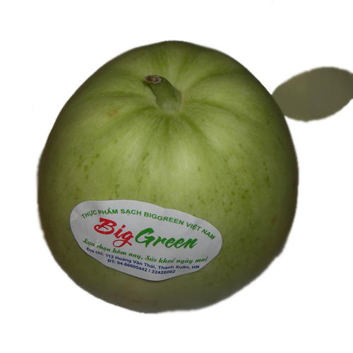 Dưa Lê VietGAP Đông Xuân