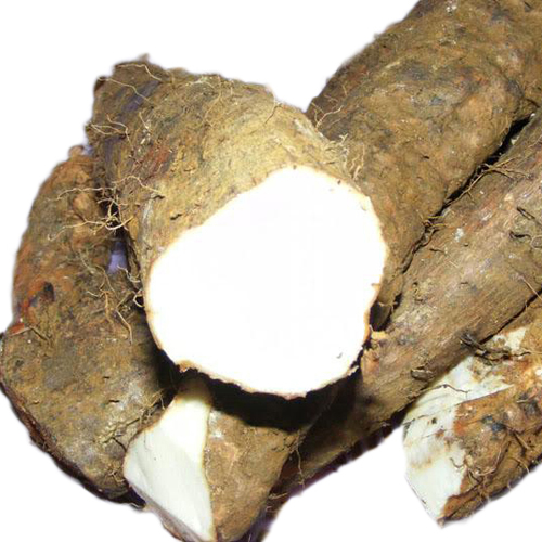 Củ Mài - Lào Cai