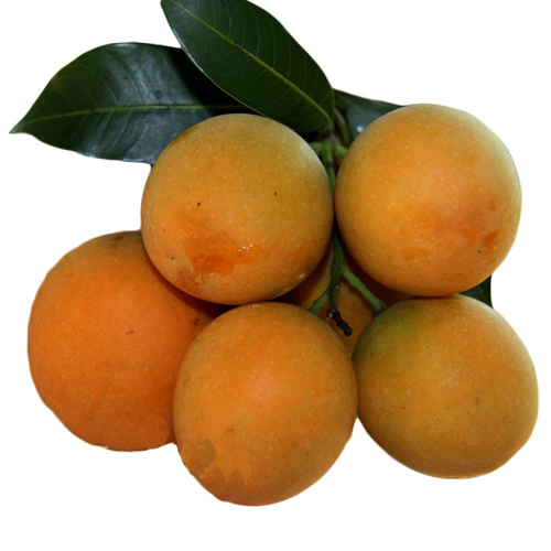 Quả Thanh Trà chua ngọt