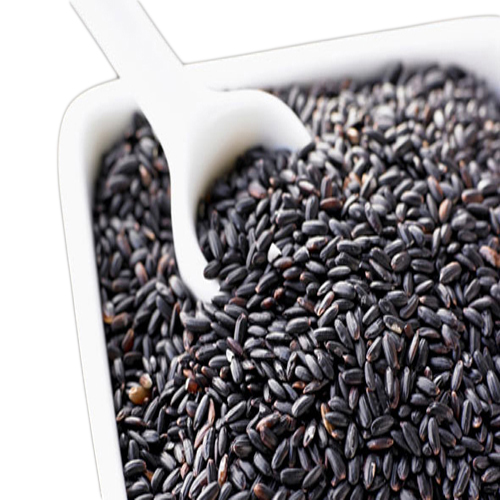 Gạo nếp cẩm Mộc Châu