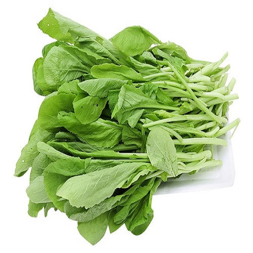 Dừa Hamona size MS