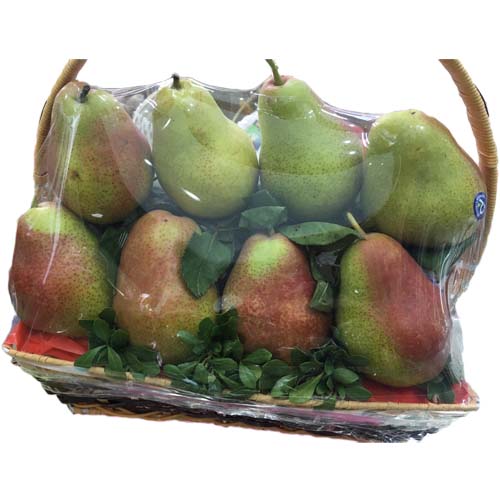 Quả Bưởi diễn