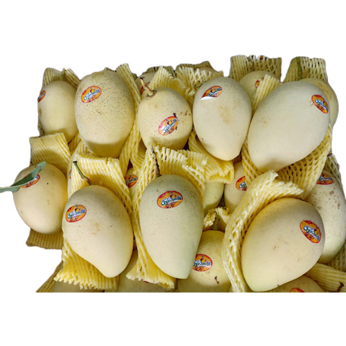 Xoài Mỹ Xương