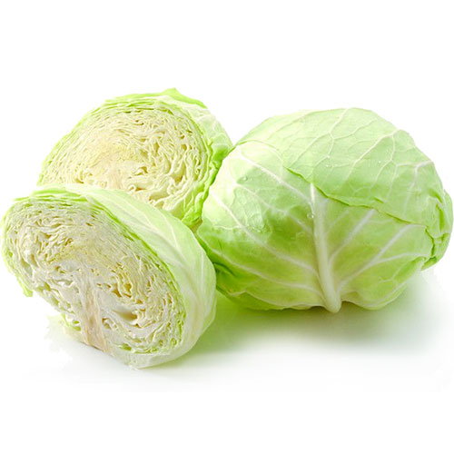 Bắp Cải Trắng