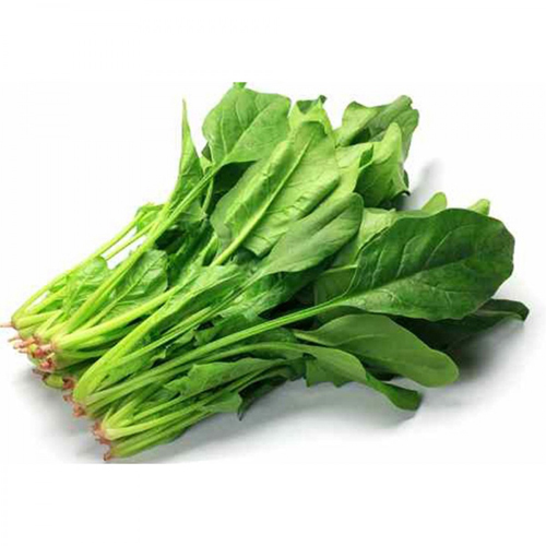 Cải Bó Xôi