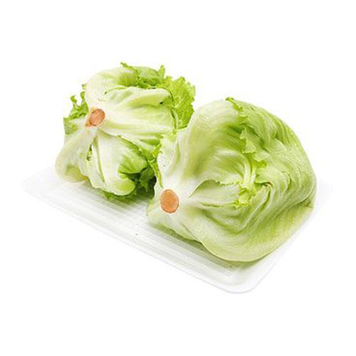 Xà Lách Mỡ