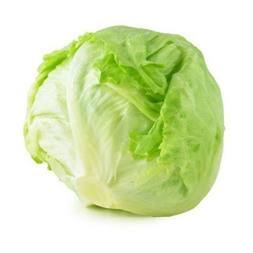 Xà lách mỹ Minetto