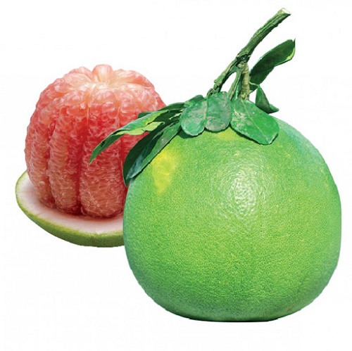 Rau sạch Sơn Tây