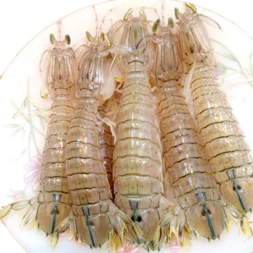 Ruốc bề bề nguyên chất