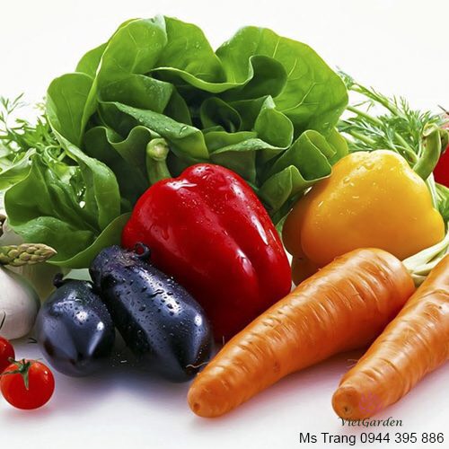 Rau củ quả an toàn