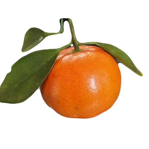 Cam Canh - Đức Toàn