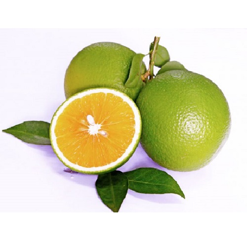 Cam hữu cơ Cường Hằng