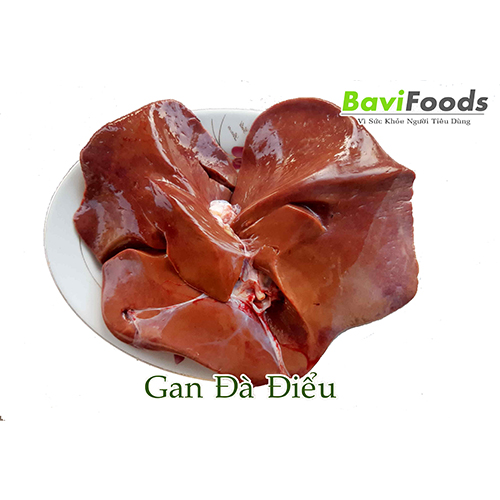 Gan đà điểu
