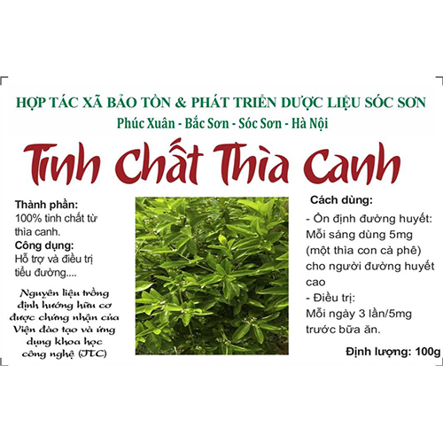 Tinh chất thìa canh
