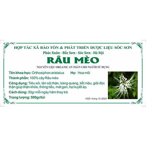 Râu mèo