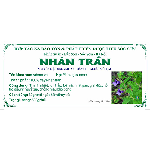 Nhân Trần