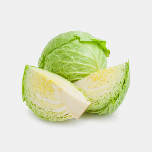 Bắp cải