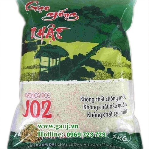 Gạo giống nhật J02