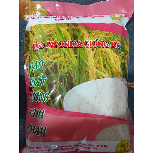 Gạo Japonica giống JO2