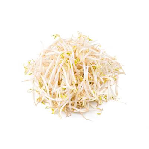 Giá đỗ An Phát