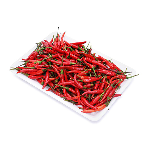 Ớt kim