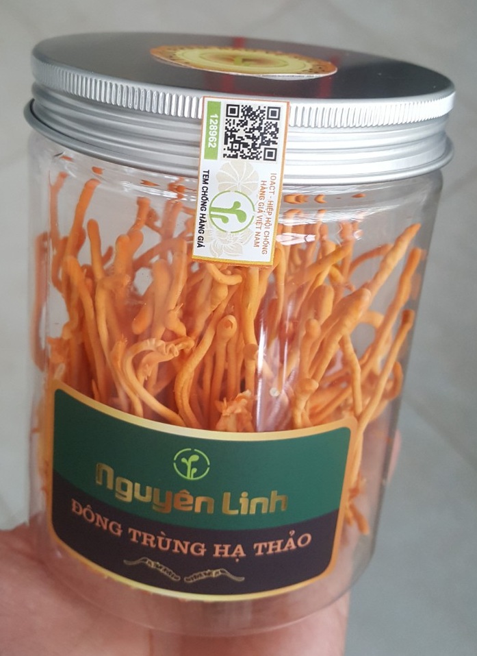 Đông trùng hạ thảo