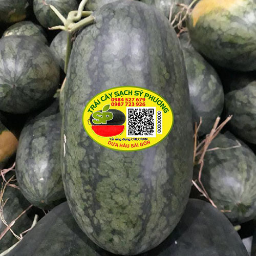 Dưa hấu sài gòn Sỹ Phương
