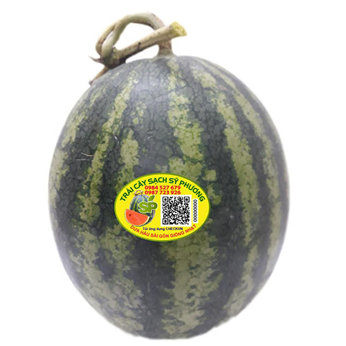 Dưa hấu sài gòn giống Nhật (Mỹ)