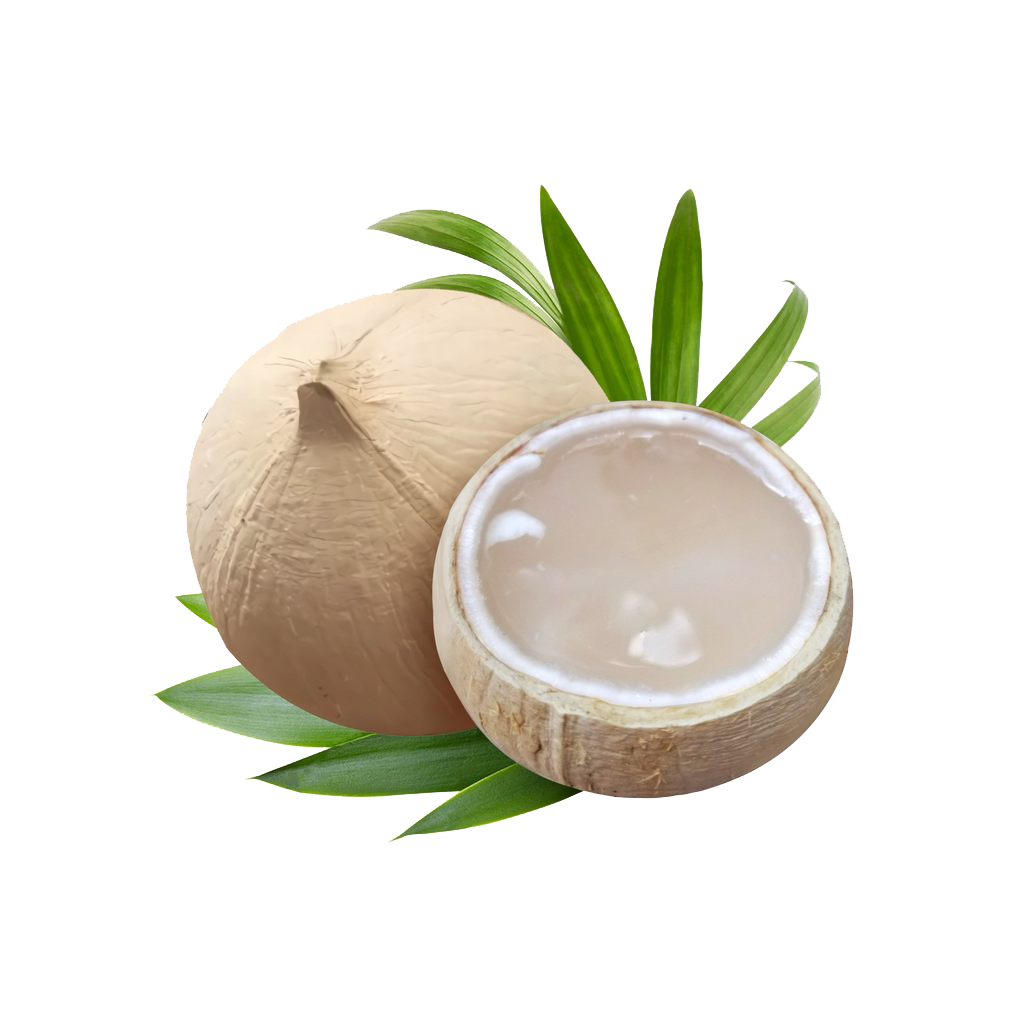 Dừa xiêm Sỹ Phương