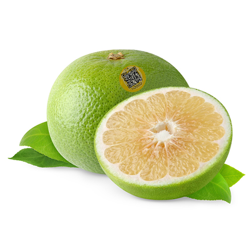 Cam vàng đông sơn