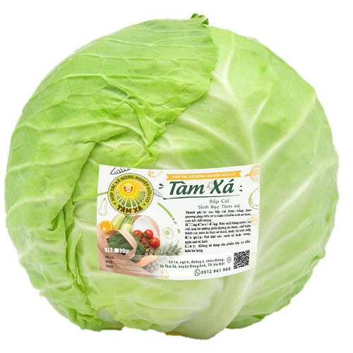 Bắp cải sinh học Tàm Xá