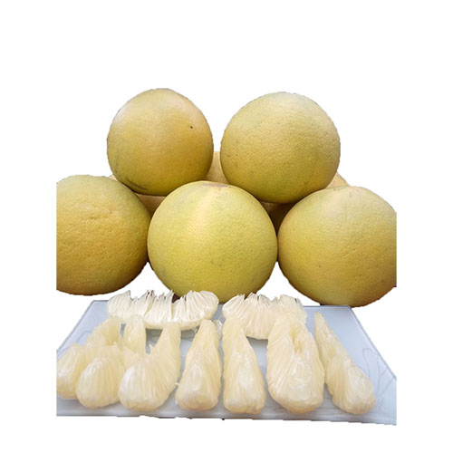 Quả bưởi