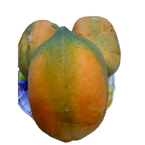 Đu đủ