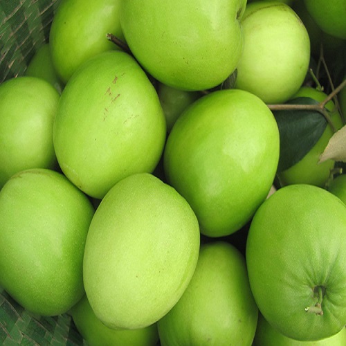 Táo đại Đài Loan