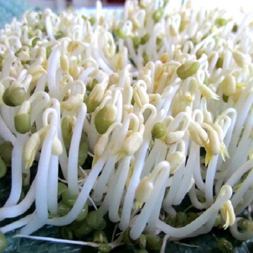 Rau củ quả