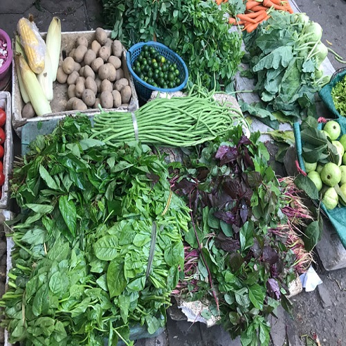 Rau củ quả