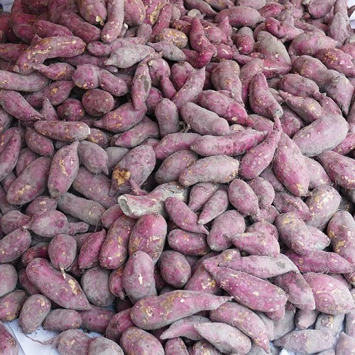 Rau củ quả