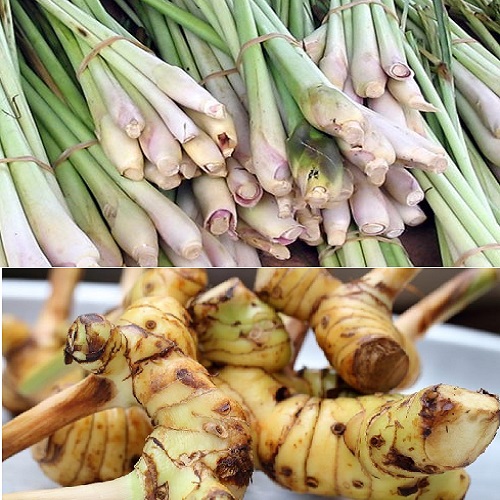Rau củ quả