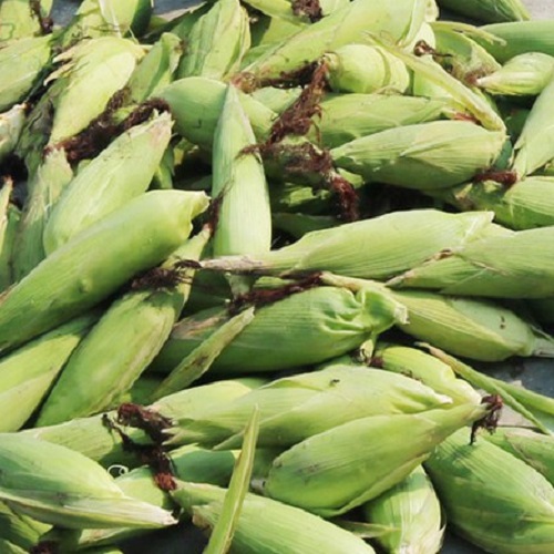 Rau củ quả